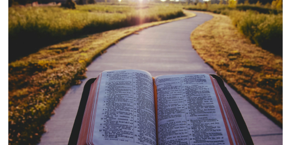 Open Bible with natural light